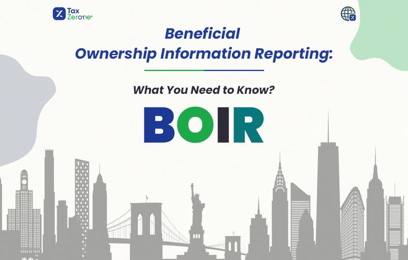 Beneficial Ownership Information Reporting(BOIR)