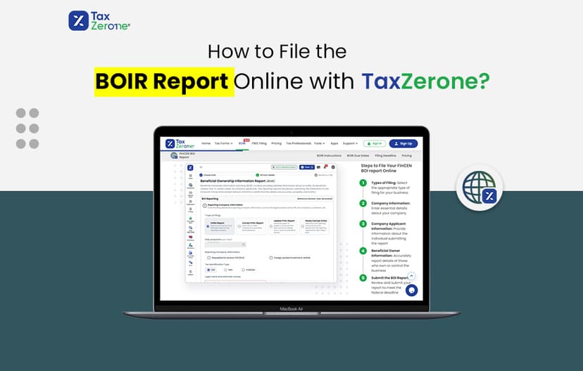 How to File the BOIR Report Online with TaxZerone