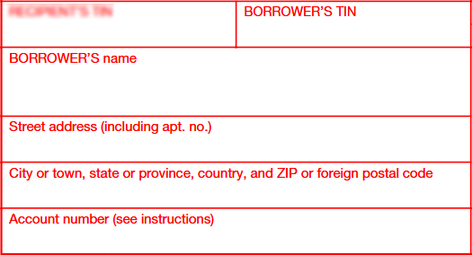 Step 2: Borrower Details