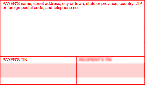 Payer details