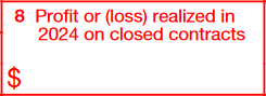 Box 8: Profit or (Loss) Realized in 2023 on Closed Contracts 