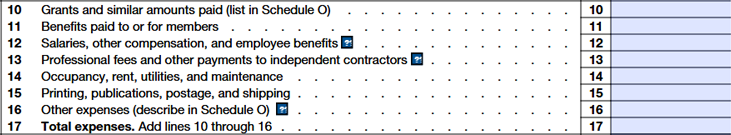 Line 10 - Grants and Similar Amounts Paid
