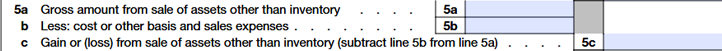 Line 5a to 5c - Gains (or Losses) From Sale of Assets Other Than Inventory