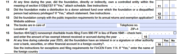 Form 990-PF Part VI-A Lines 11–16: foundation entity ownership, donor-advised funds, public inspection, and foreign accounts