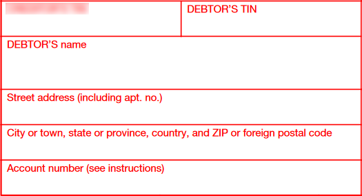 Debtor details